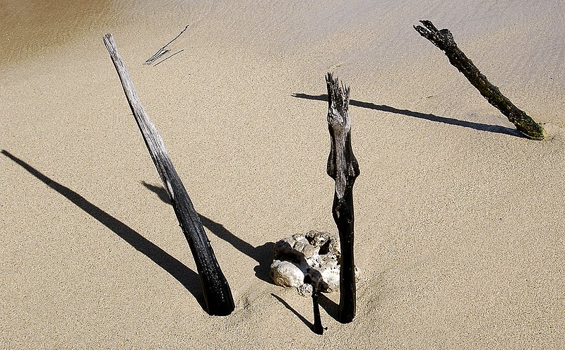 Beach Calligraphy1 0150.jpg