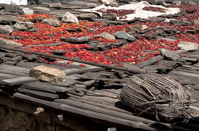 Chilis Drying on Roof 043.jpg