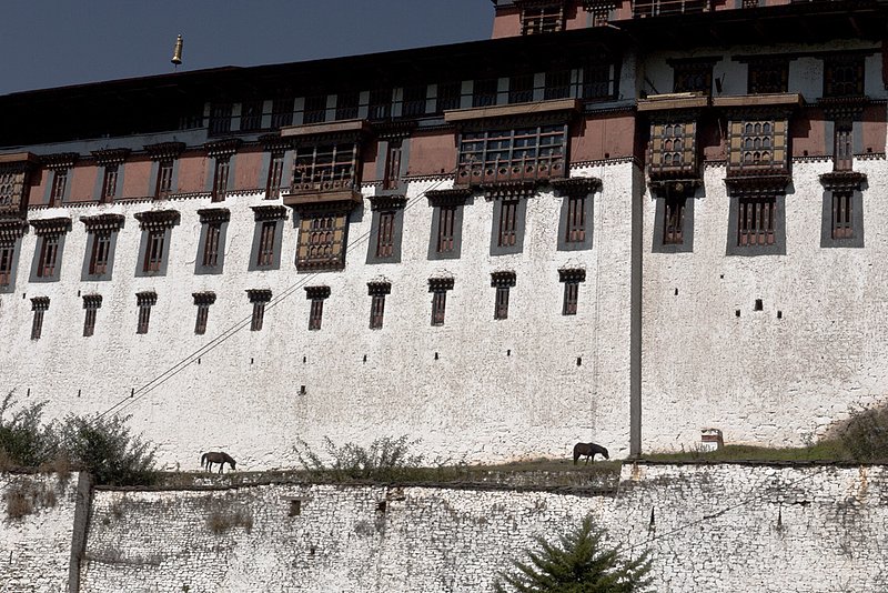 Dzong at Punakha 094.jpg