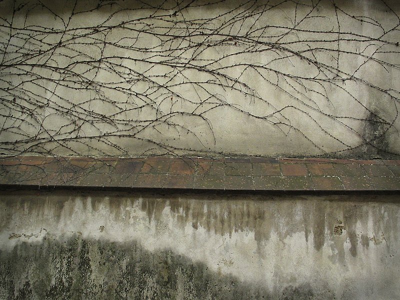 Emauzy Wall - Prague - Coastal Art League Selection 2006.jpg