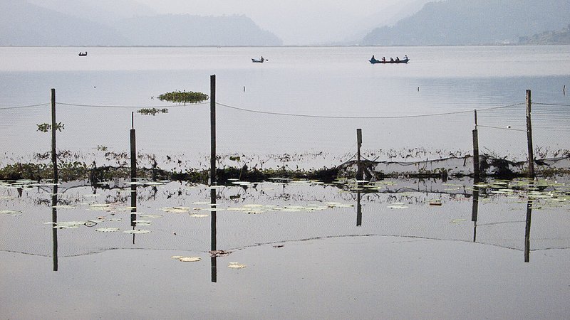 Fish Fences 0685.jpg