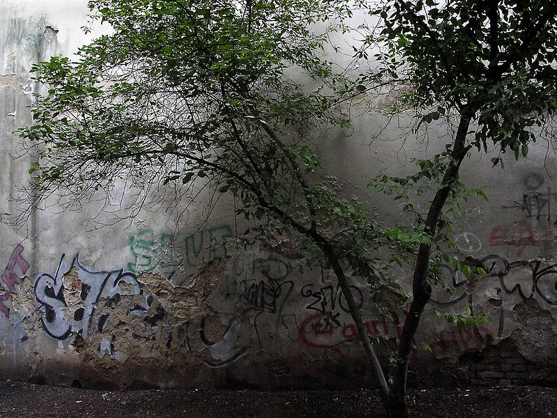 Graffititree_3019.jpg :: Graffiti Tree - Prague