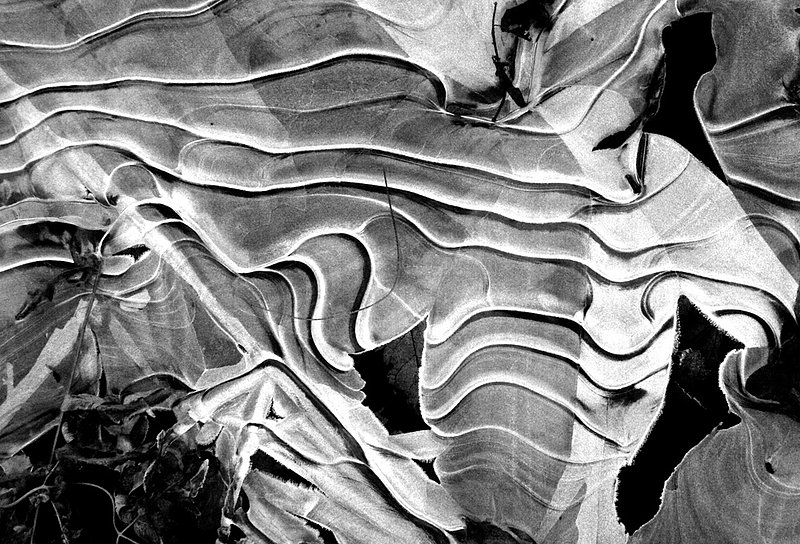 Ice Angel 2721bw.jpg