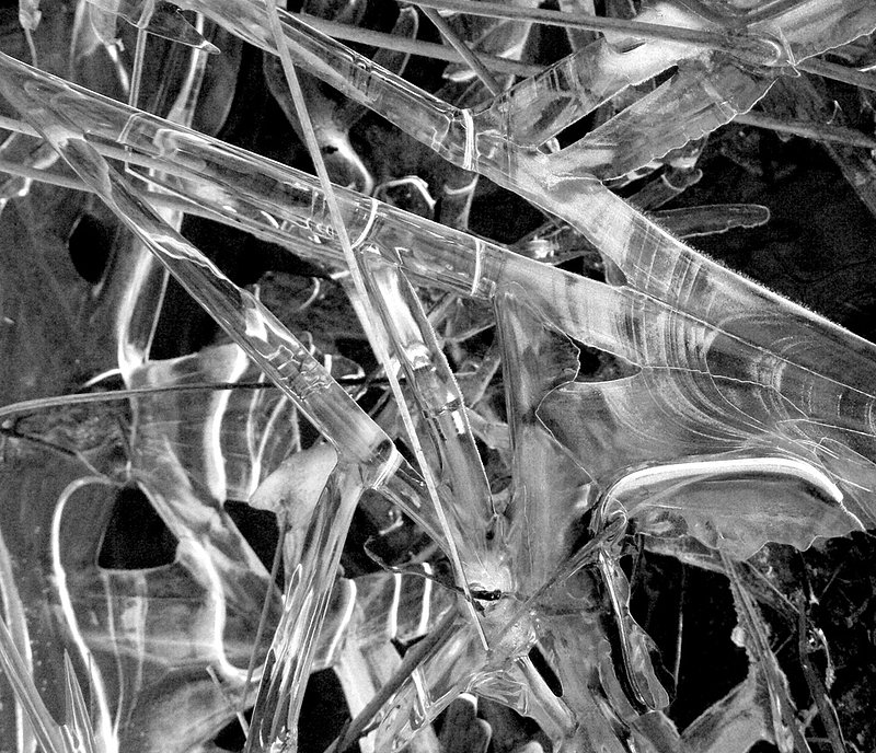 Ice Wands 2361bw.jpg