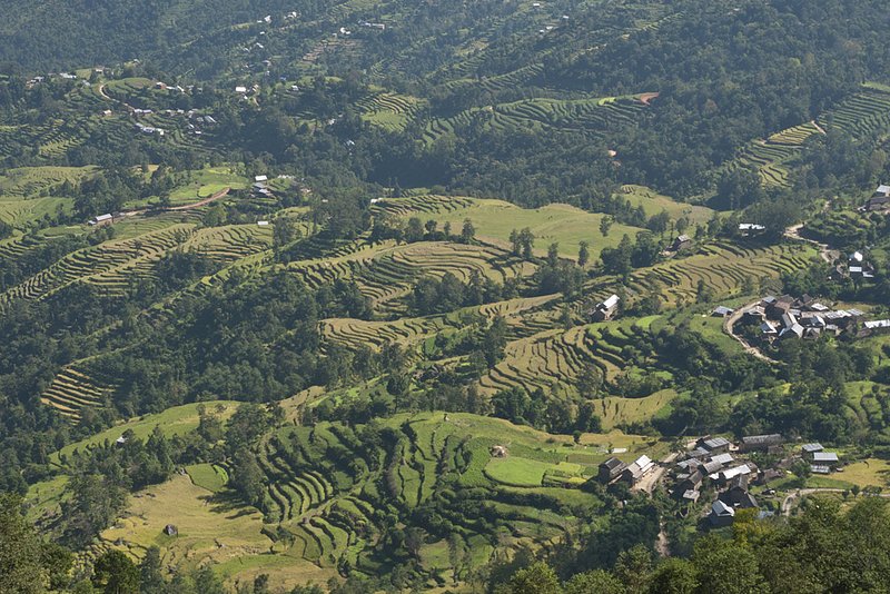 Nepalese Terraces 0964 copy.jpg