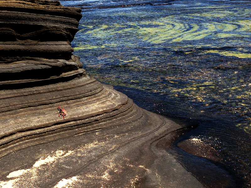 Niihau rock  tide(1).jpg