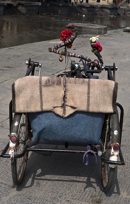 Pedicab 0635.jpg