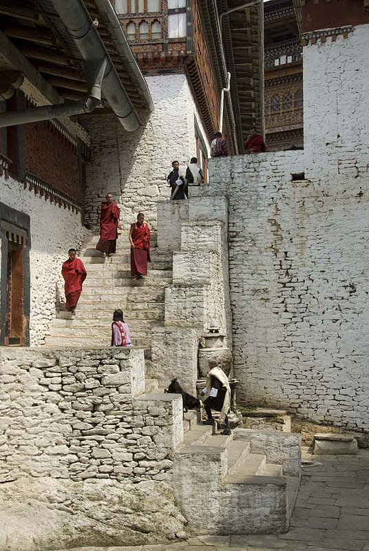 Punacka Dzong Steps 184.jpg :: Bhutanese Dzong
