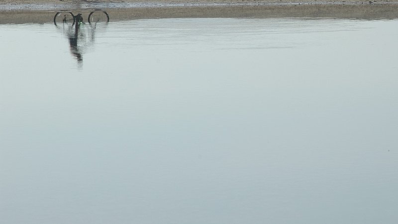 Reflected Self 1 0183.jpg