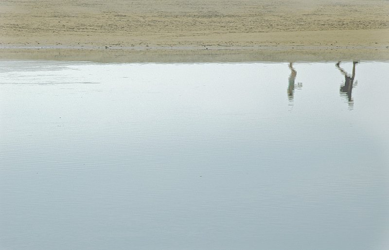 Reflected Self 3 0176.jpg