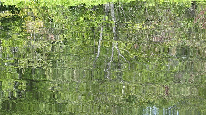 Reflection2 1765.jpg