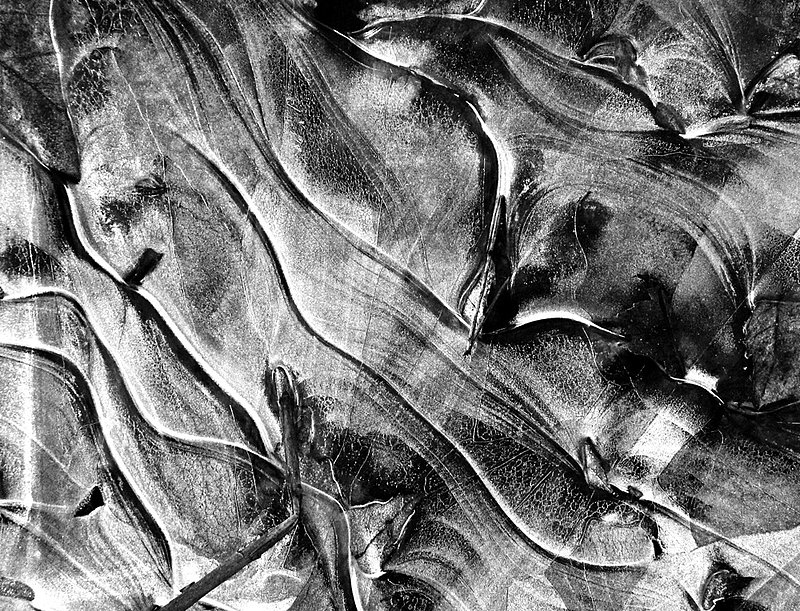 River Ice 2981c.jpg