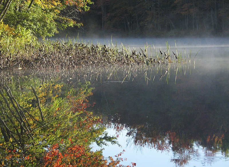 River_2054.jpg