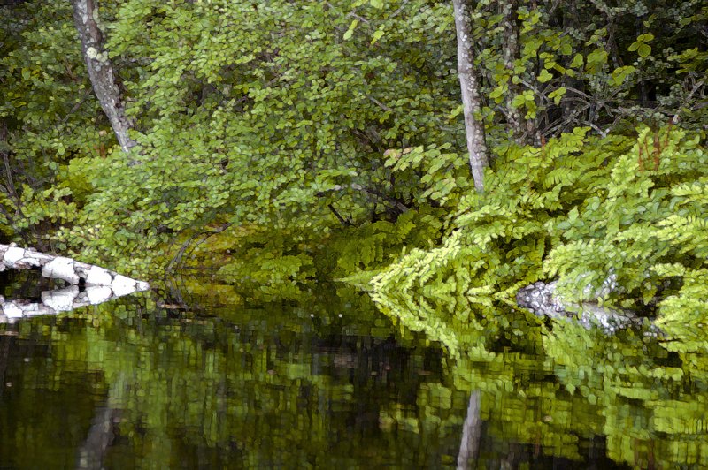 Riverside - Hui Noeau Selection 2012.jpg