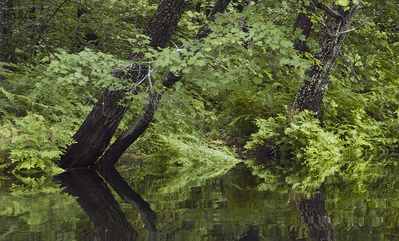 Riverside Art 2855Alt.jpg