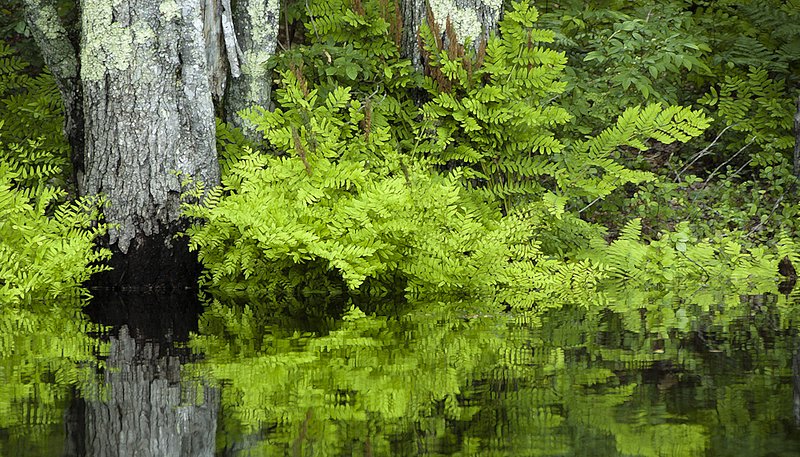 Riverside Art 3017Alt.jpg
