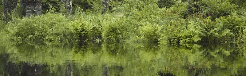 Riverside Burst 2866.jpg