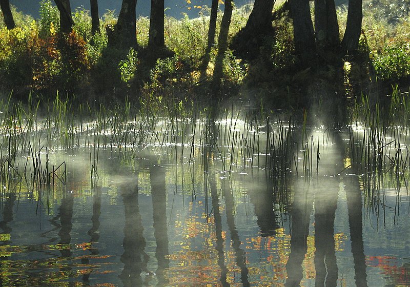 Sun Mist 2050.jpg