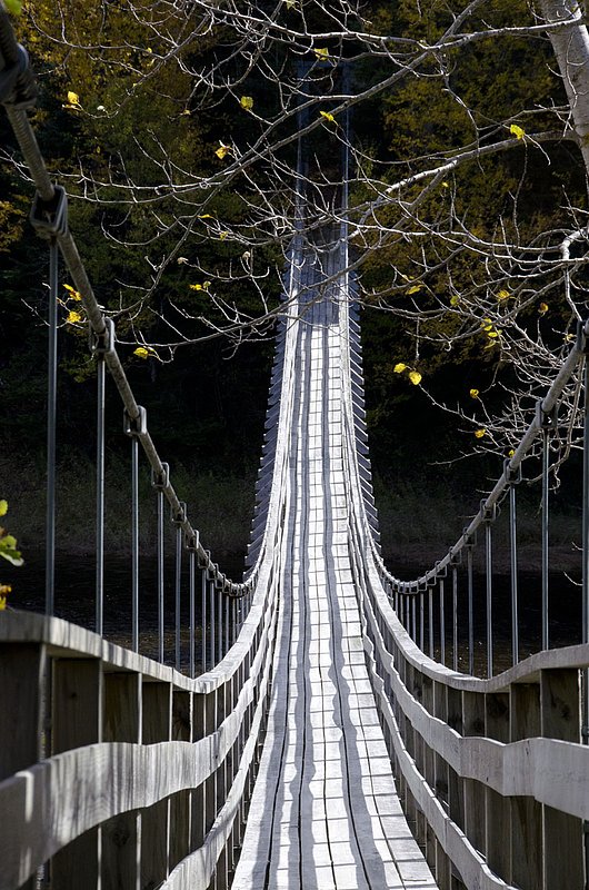 SuspensionBridge RdTrip_0169.jpg