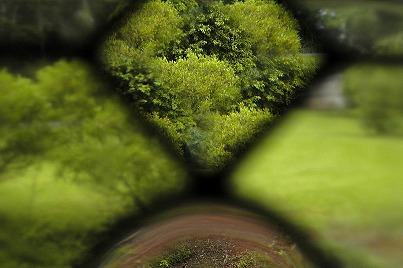Through Leaded Glass2 2207.jpg