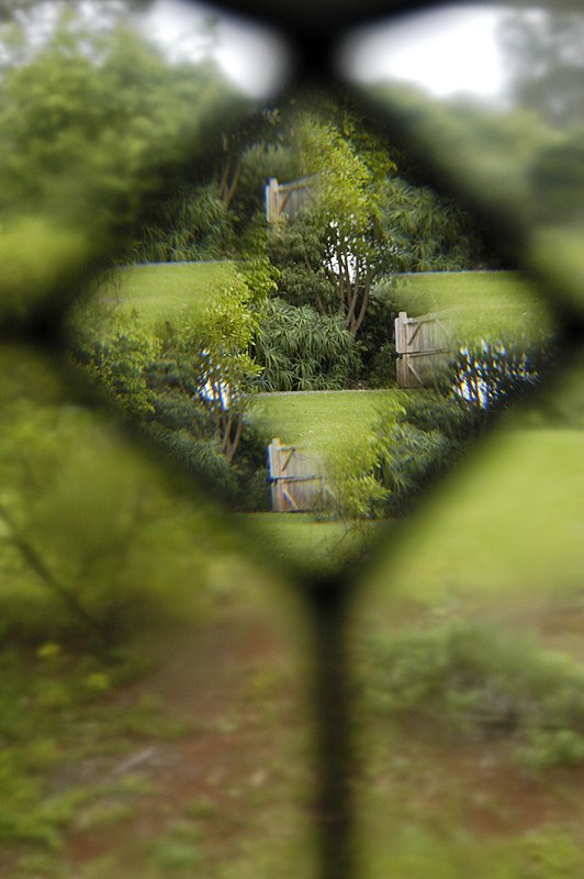Through Leaded Glass3 2210.jpg