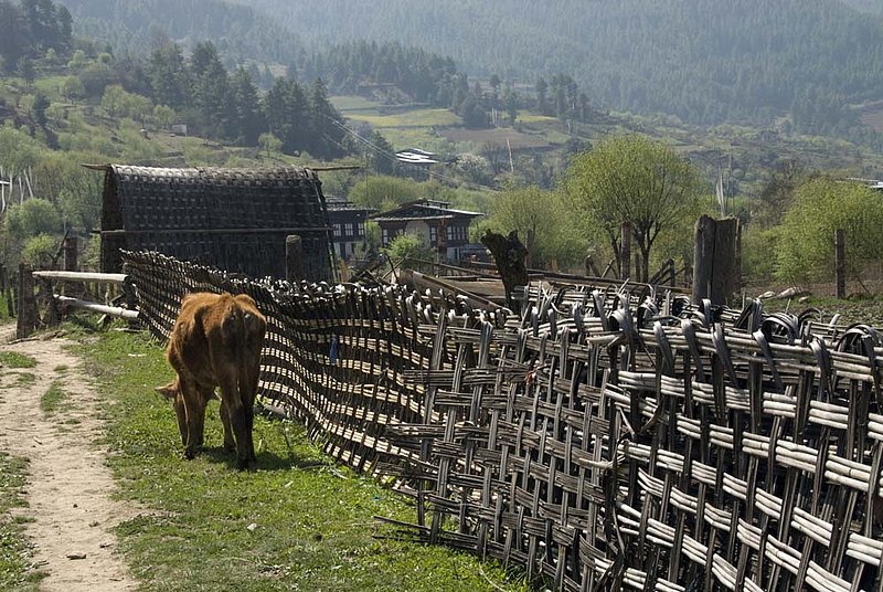 Traditional Bhutanese Fence 217.jpg