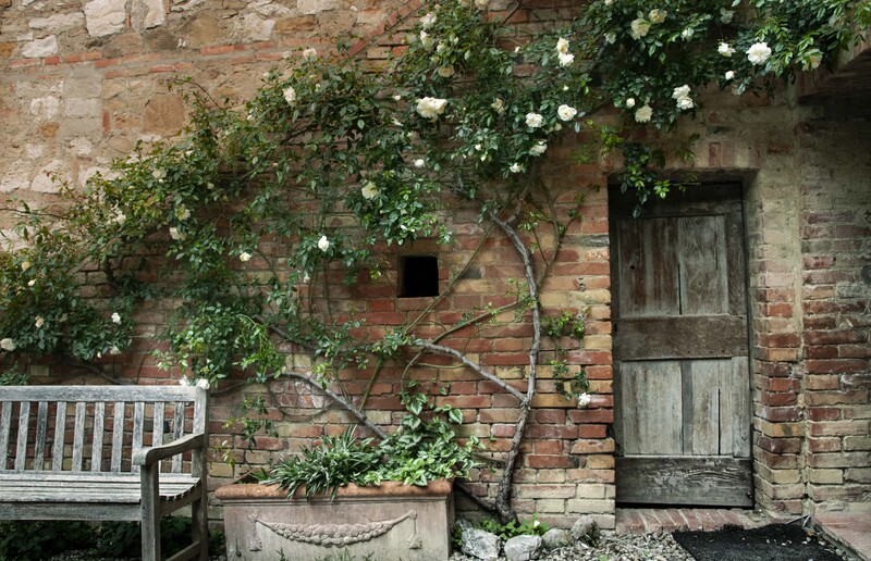 TuscanyIlRigo547alt copy 2.jpg