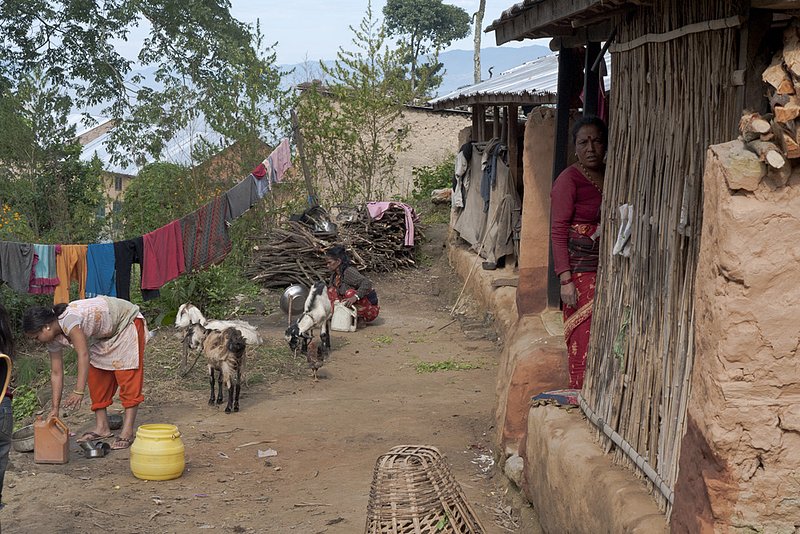 Village Scene 0809 copy.jpg