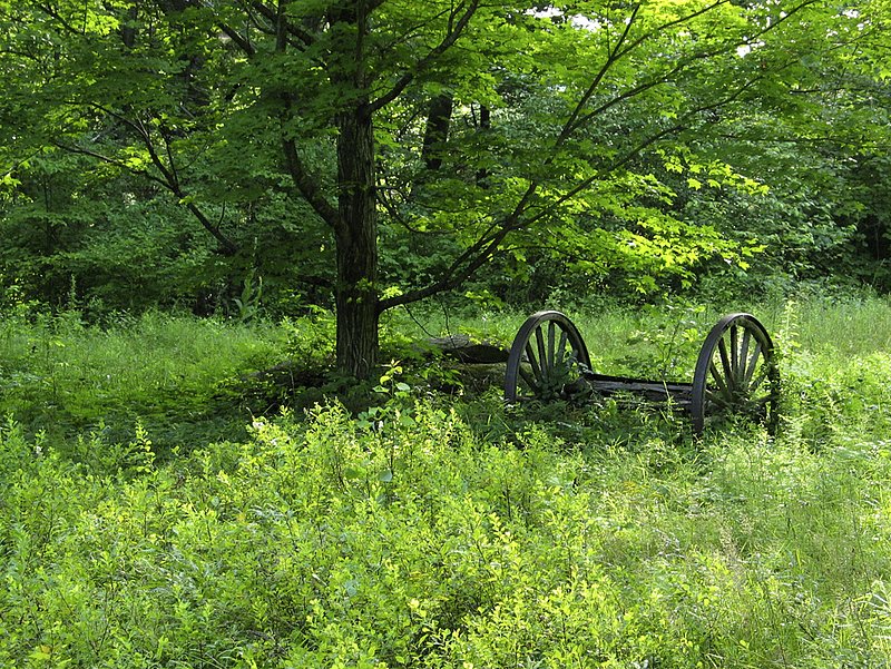 Wagonwheels 1756.jpg