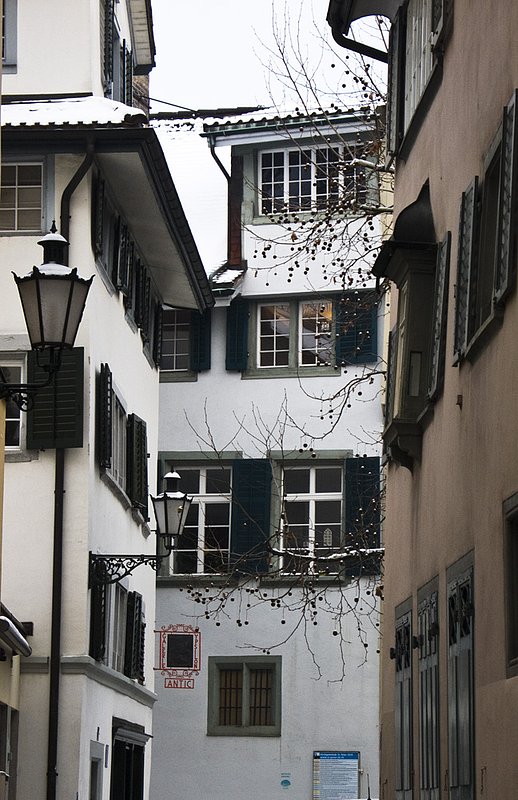 Zurich021110_312_1.jpg