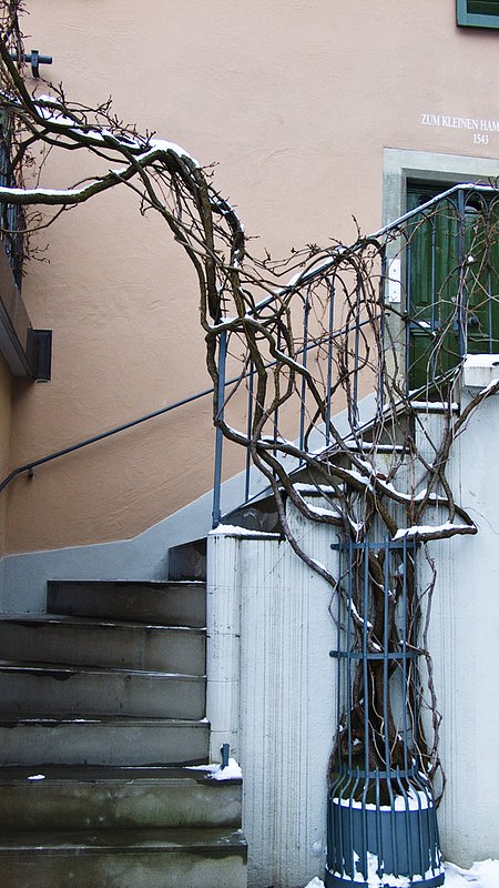 Zurich021110_319_1.jpg