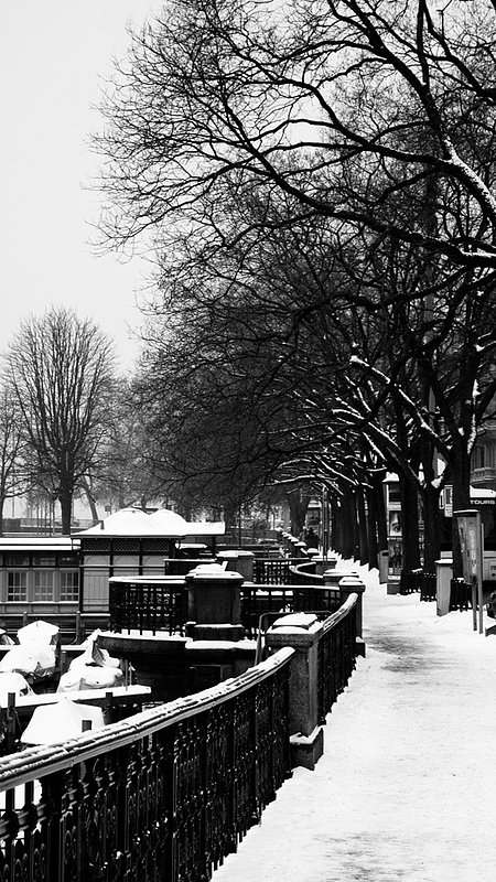 Zurich021110_332_1.jpg