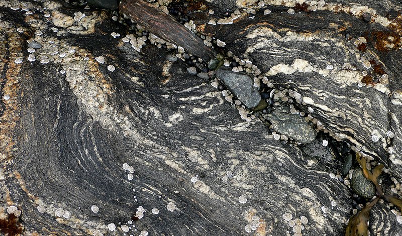 barnacle  rock 2 055.jpg