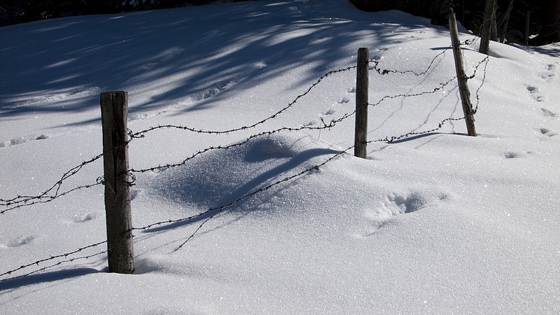 Barbed wire in the Snow L1110418.jpg