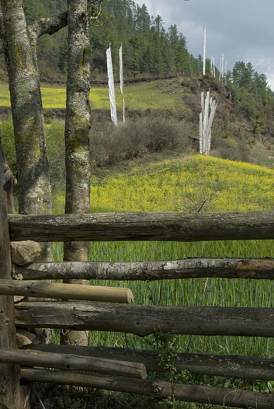 Fence and Flags Ugyen Choling.jpg