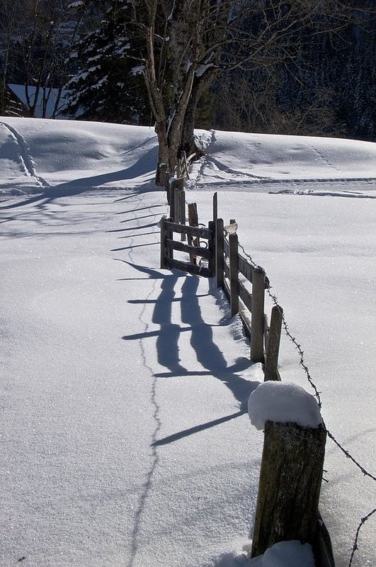 Fence in the Snow L1110420.jpg