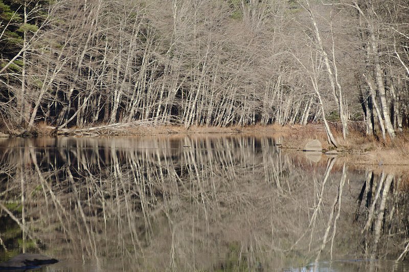 Ghostly Reflections 879 102012.jpg
