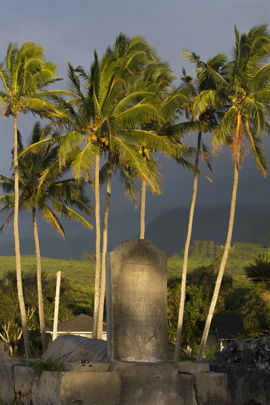 Kalaupapa Grave and Palms 42016-1560.jpg
