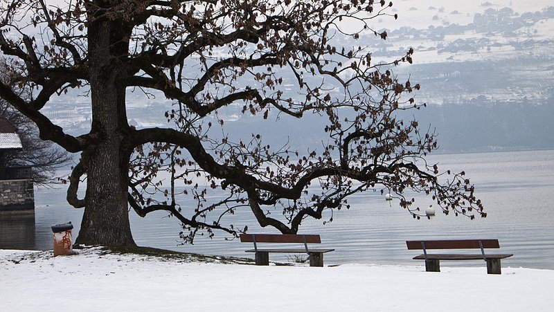 Lakeside Switzerland 1110395.jpg