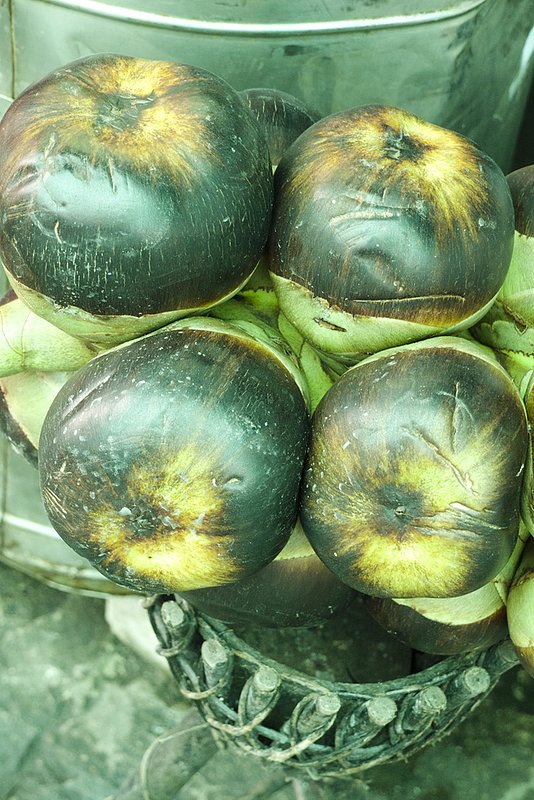Mangosteen 0526 copy.jpg