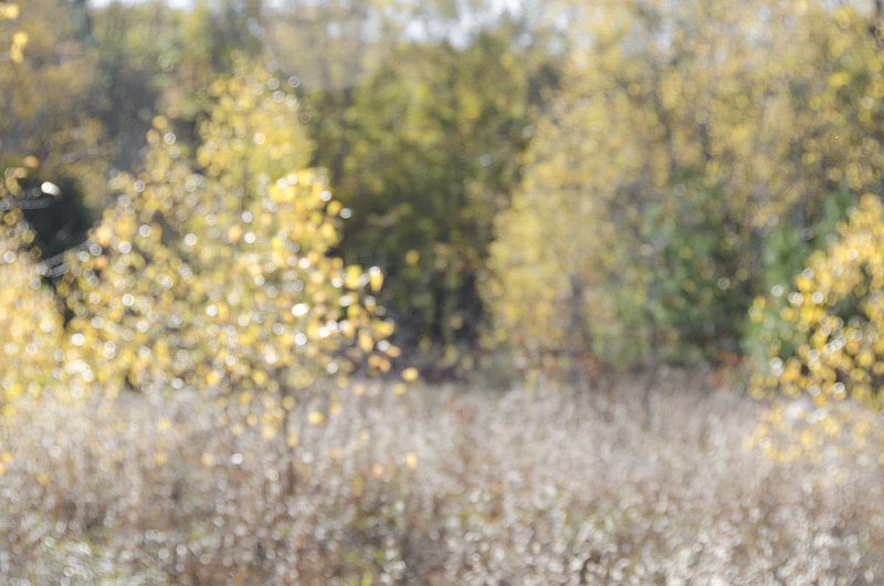 NH Autumn 102012_0323.jpg