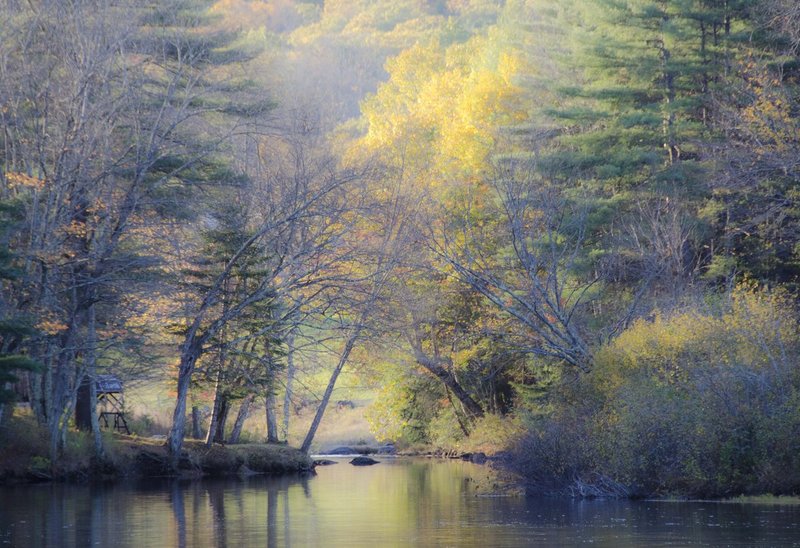 New Hampshire Autumn 102012_0149.jpg