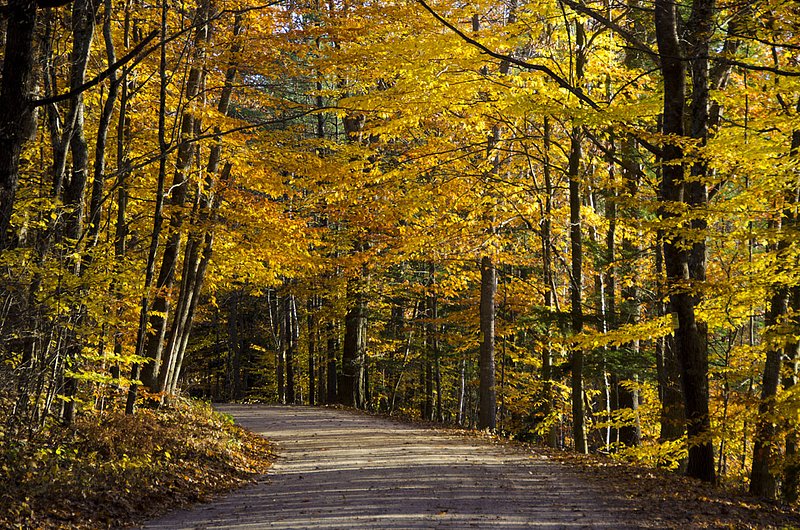 New Hampshire Country Road 102012_0545.jpg