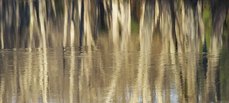 River Reflections 11117651W.jpg