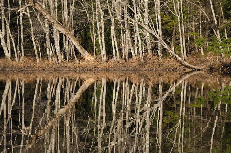 River Reflections 940 102012.jpg