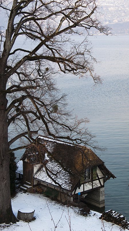 Swiss lakeside 1110374.jpg