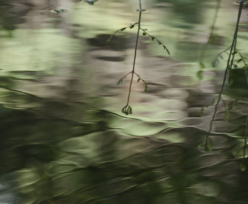 The River 6_12 051.jpg