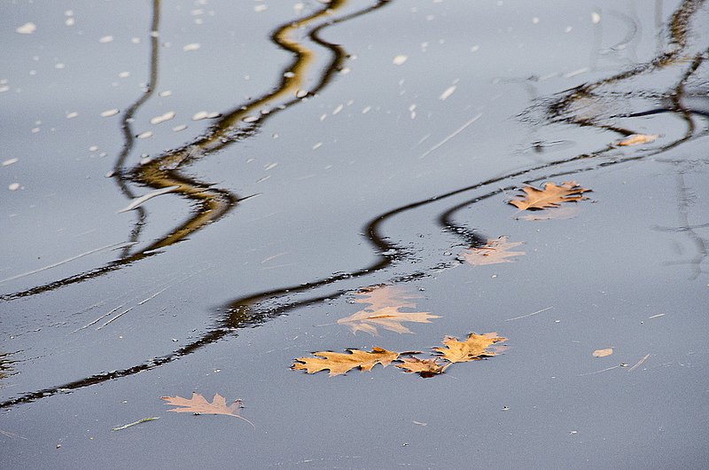 Zigzag Reflection 111110834W.jpg