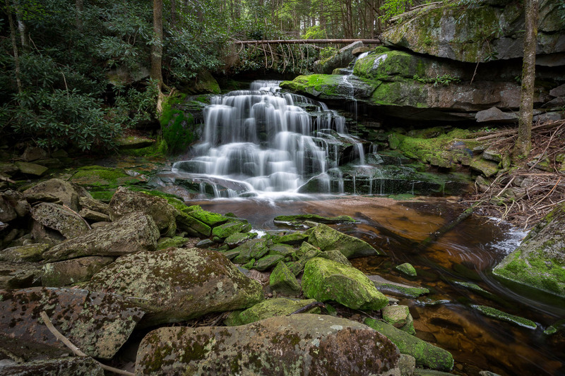 AHCS Scenic-53(1).jpg