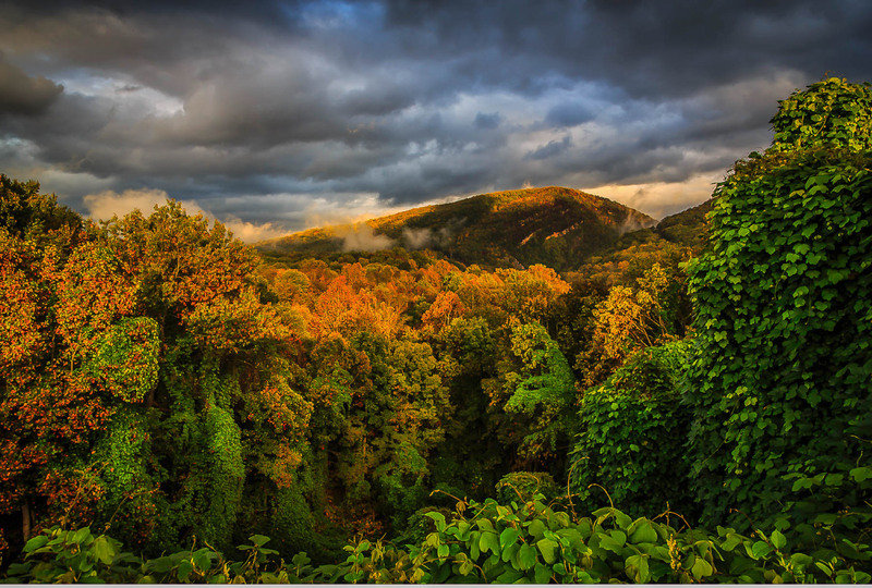 AHCS Scenic-58(1).jpg